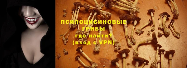 шишки Балахна