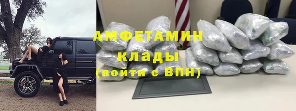 ГАЛЛЮЦИНОГЕННЫЕ ГРИБЫ Аркадак