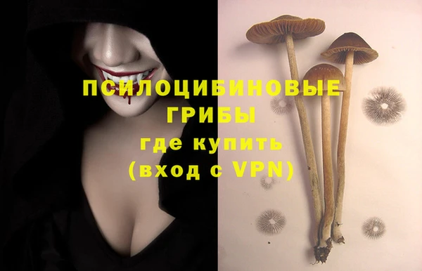 ГАЛЛЮЦИНОГЕННЫЕ ГРИБЫ Аркадак
