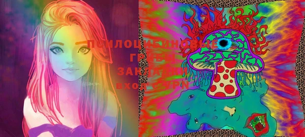 шишки Балахна