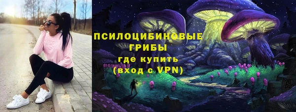 метадон Арсеньев