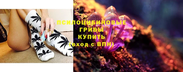 метадон Арсеньев