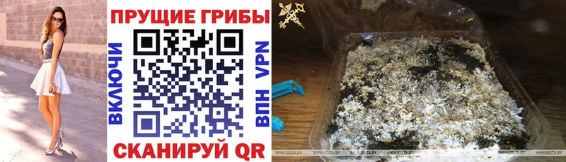 Псилоцибиновые грибы ЛСД hydra рабочий сайт Колпашево